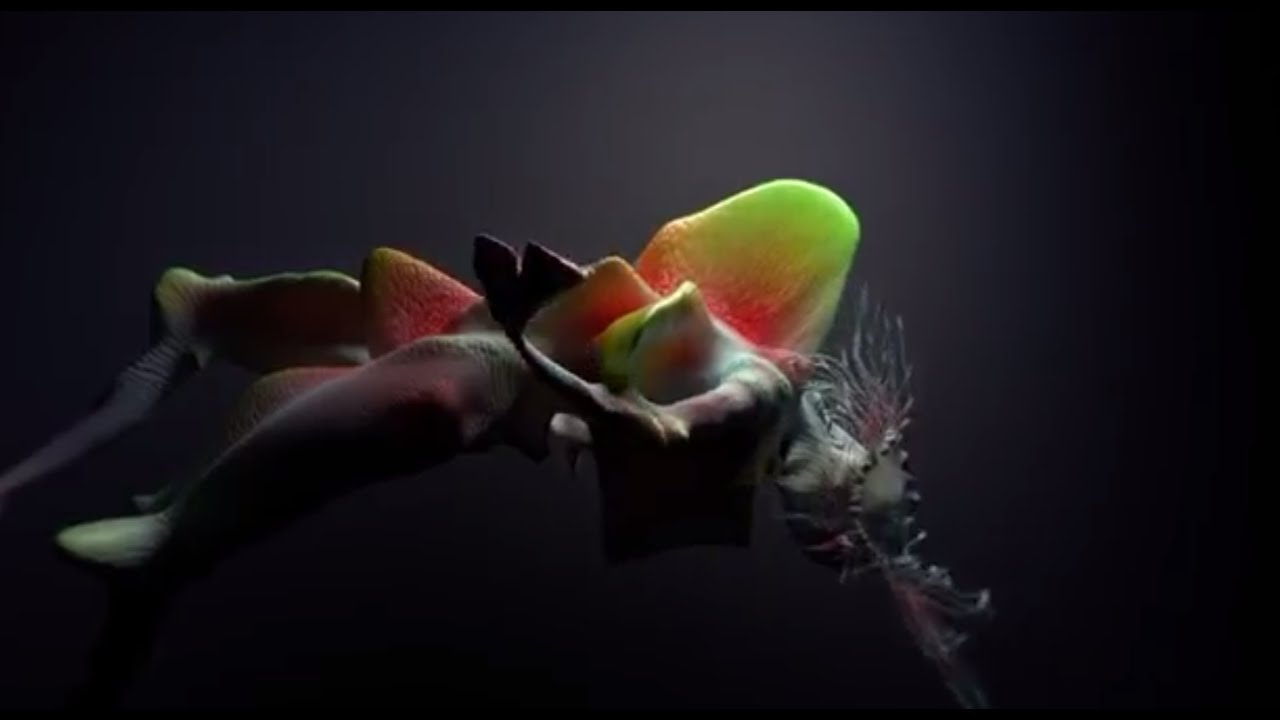 Bjork – Tabula Rasa. Shape-shift in mesmerizing video